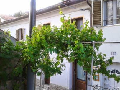 B&B Al Ferdinandeo Trieste Exterior photo