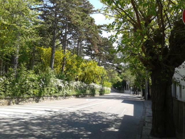B&B Al Ferdinandeo Trieste Exterior photo